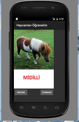 Eğitici çocuk oyunu hayvanlar截图2