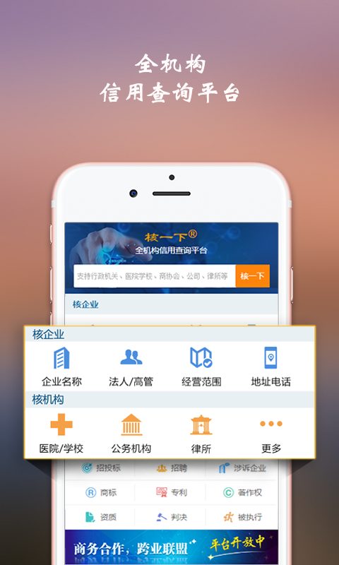 公司查询（核一下）截图1