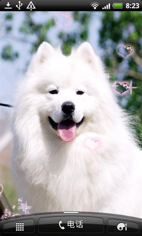 萌犬摩萨耶动态壁纸截图6