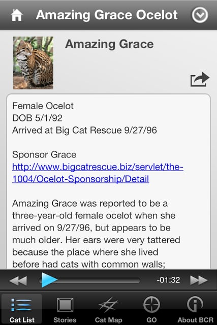 Big Cat Rescue截图5