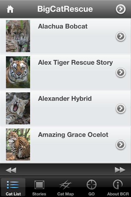 Big Cat Rescue截图2