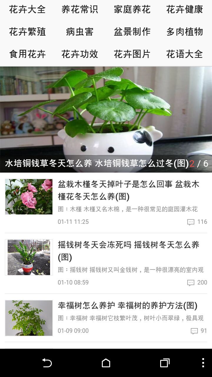 值来植往截图1