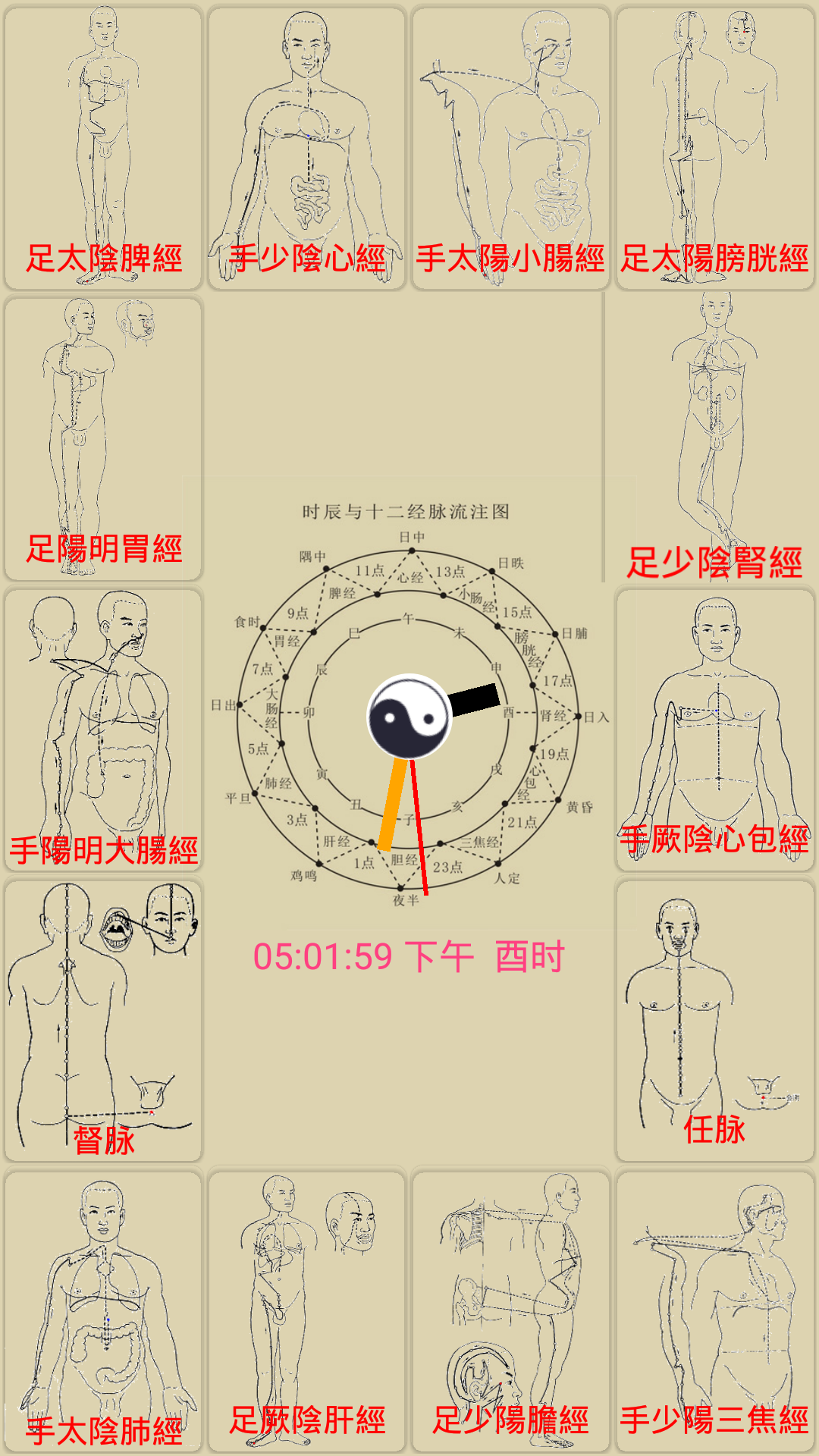 中医经络穴位流注截图1