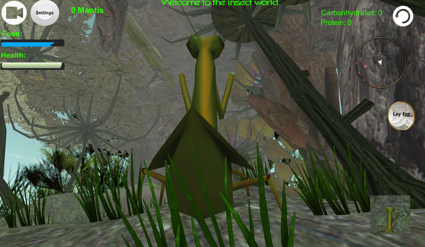 Praying Mantis Simulator 3D截图3