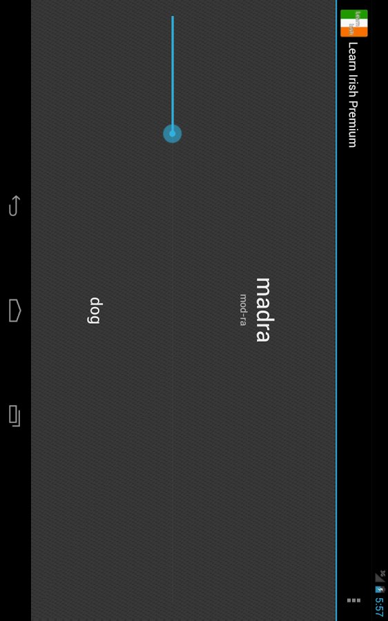 Learn Irish Lite {demo}截图3