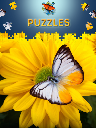 Butterfly Jigsaw Puzzles free截图4