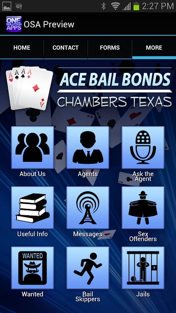 Ace Bail Bonds Chambers截图3