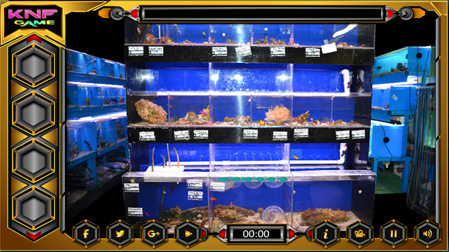 Can You Escape From Fish Shop截图5