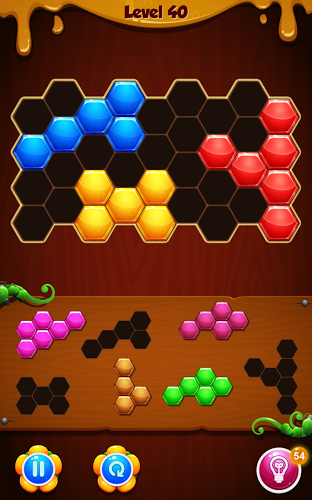 Hexa Puzzle - Block Mania截图1