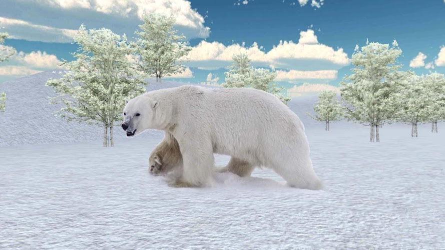 Indignant Bear 3D Attack截图2