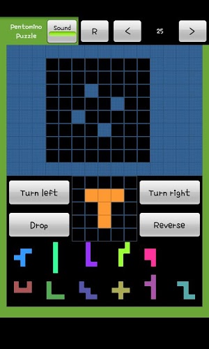 Pentomino Puzzle Game截图1