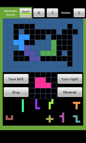 Pentomino Puzzle Game截图2