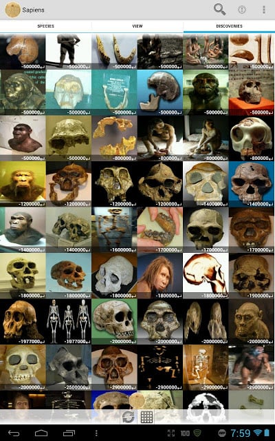 Sapiens -Archaeology &amp; History截图6