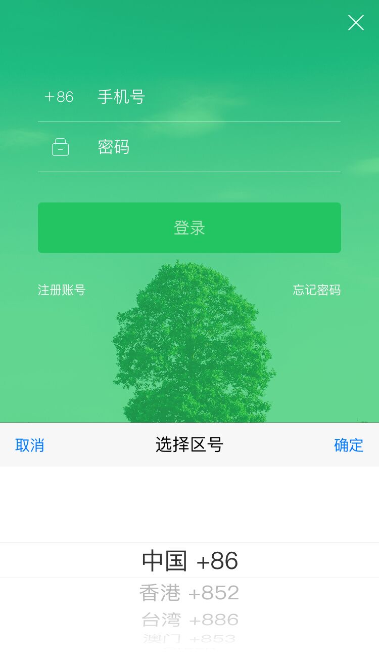 大树旅行截图1