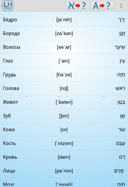 Learn Hebrew Free!截图2