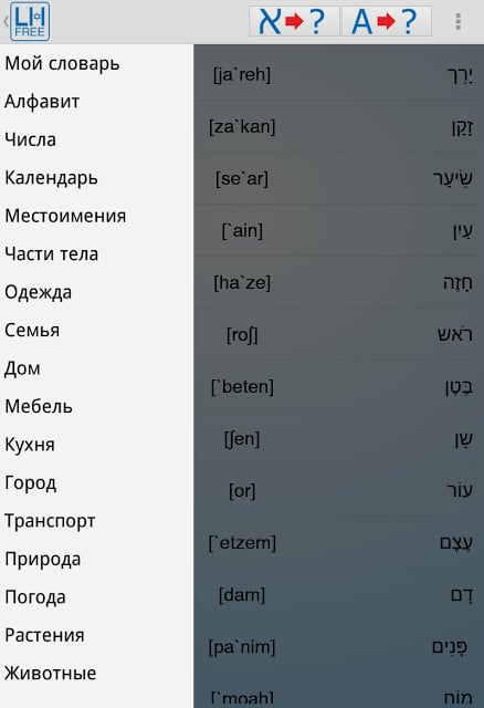 Learn Hebrew Free!截图4