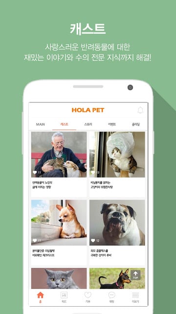 올라펫 -반려동물 (강아지, 고양이) 커뮤니티截图1