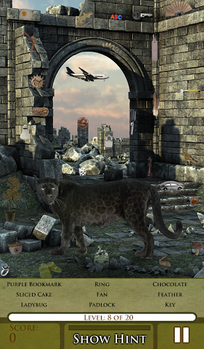 Hidden Object - Cat Tailz Free截图5