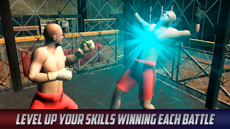 Thai Box Fighting Tiger 3D截图4