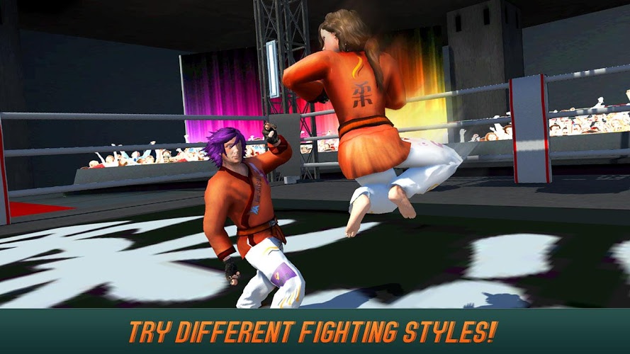 Karate Fighting Tiger 3D - 2截图2