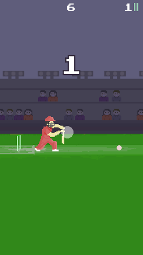 Pixel Cricket Game截图5