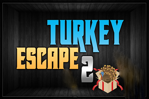 Turkey Escape 2截图1