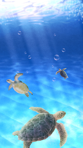 Aquarium Sea Turtle simulation截图2