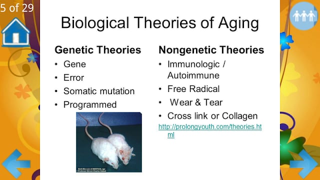 Theories of Aging截图1