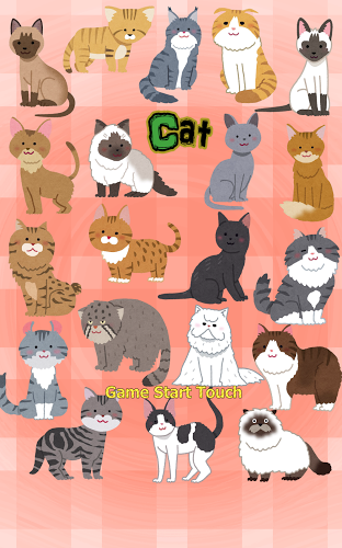 Cat Concentration (card game)截图1