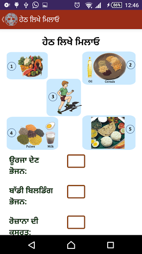 Nutrition ਪੋਸ਼ਣ ਖੇਡ Punjabi截图5