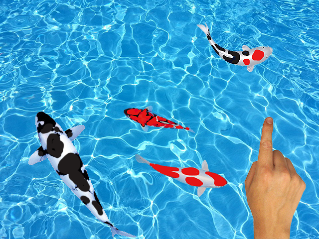 Koi Fishing Fingers Game截图4