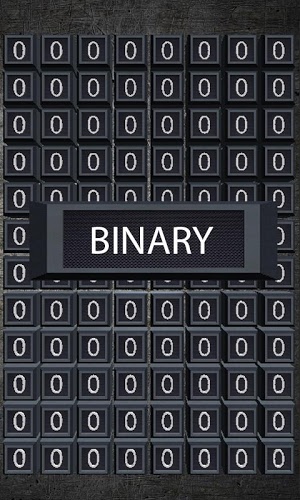 Binary Logic Game截图1