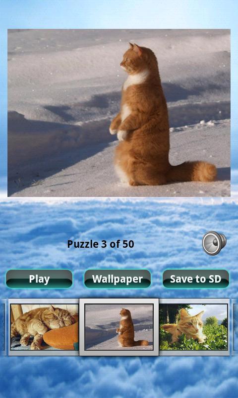 猫拼图 Cats Puzzle截图1