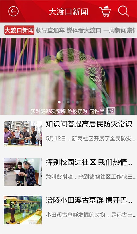 掌上大渡口截图3