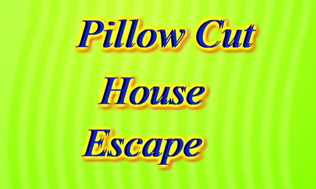 Pillow Cut House Escape截图2