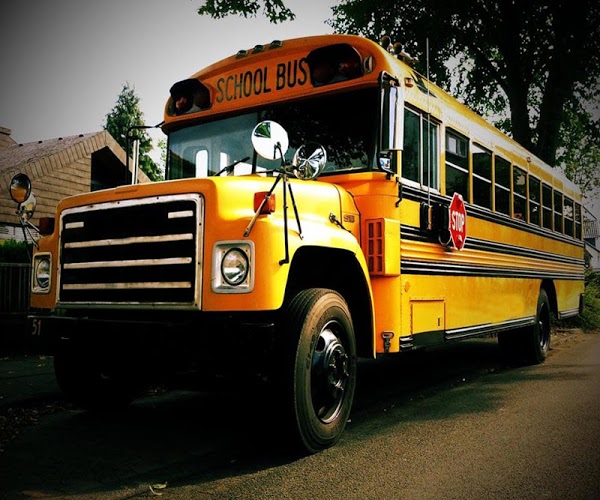 School Bus 3D截图4