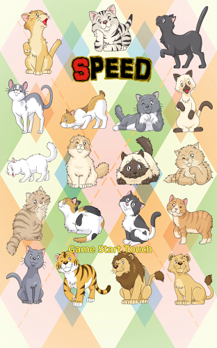 Cat Speed (card game)截图1