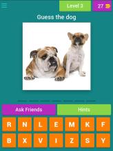 Guess the dog quiz截图2