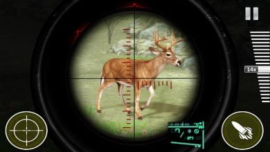 Safari Hunting : Hunt Games截图4