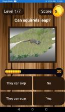 Squirrel Scratchers截图2