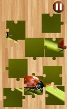 Ladybug Jigsaw Puzzle截图3