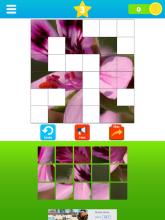 Fit the Pictures - Puzzle game截图2