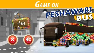 Peshawari Bus & Truck截图1