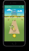 Cricket Now截图3