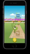 Cricket Now截图2