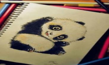 How To Draw Baby Panda截图3