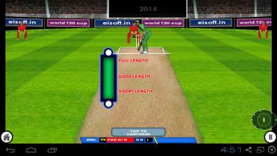 World T20 Cricket截图3