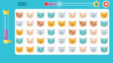 CATS MANIA截图3