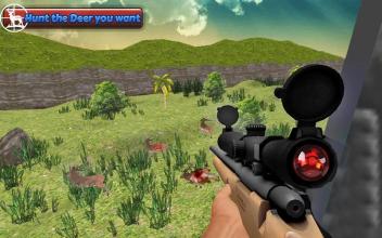 Animal Hunt Sniper Shooter截图5