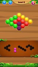 Hexagon Box Puzzle Game!截图3